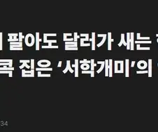 미국이 공인해준 환율 상승 사유