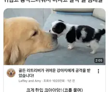 귀엽고 흉악스러운 썸네일