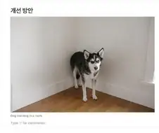 솔직히 회사다닐때 문서에 이딴거 적어놓은거 두고두고 후회하고 있음