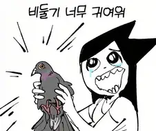 비둘기가 귀여운 만화