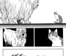 개와 고양이 만화