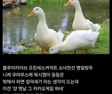 귀여운 그림체 게임 유저들의 장점.jpg