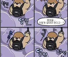 세대별로 다른반응을 보이는 만화