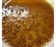 간장 방치했더니 결정 생김