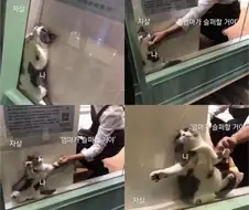 자살이 힘든 이유
