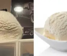 고냉이 한숟갈