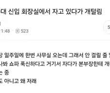 30대 신입 회장실에서 자고 있다가 개털림