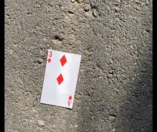 트럼프 사기치다 진짜 밑바닥까지 떨어진 꼬라지