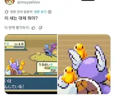 소리소문없이 사라진 새 포켓몬
