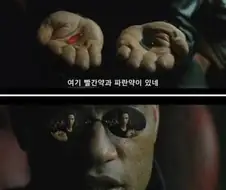 야 너희들 약먹을시간이야 잘 챙겨먹어라