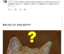 근데 농담이 아니라 김구선생이 극좌빨갱이면