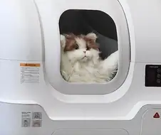 "너와 함께 피난할 준비다냐!!!!!"