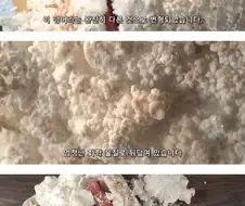 믿거나 말거나 MSG로 고기 숙성하기