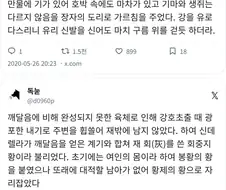 백설공주는 마흔아홉가지 독이 스민 독사과를 먹어가며 만독불침을 이룬다