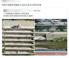 청계천에서 태닝하는 외국인이 불편한 어느 X유저