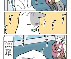 고양이 만화나 봐라.new