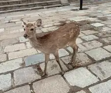 내 연휴 어디갔어!!