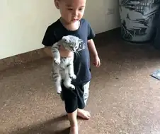 고양이: 넌 어떻게 된 게 성장이 느리냐?