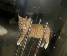 가게문을 못 여는 이유