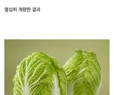 역사) 우장춘 박사의 업적
