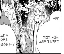 프리렌)생각한 것 보다 강한 인물