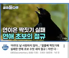 까아아아아아아아아아악!!!!!