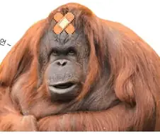 솔직히 작가보고 모든 떡밥을 회수할 필요는 없다고 생각함