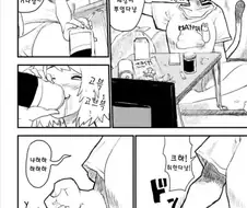 담베 고양이 애니는 순화된것