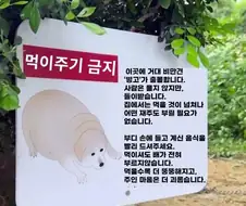 강아지에게 먹이를 주지 마세요.jpg