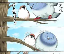 비둘기 선배와 참새 후배.manga