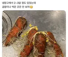 냉장고에서 숙성된 당근.jpg