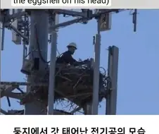 전기공이 태어나는 모습.jpg