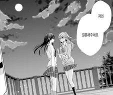 백합물의 흔한 결말