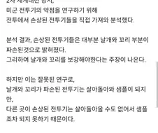 사회에서 흔히 보이는 생존자 편향의 오류