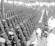 일본 전국시대 표고버섯의 위엄.manhwa