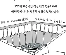 쥐로 알아보는 사회는 어디로 가고 있는가