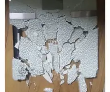 바른 말 하려다 죽은 충신