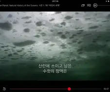청어 번식기 환경