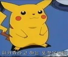 피카츄와 지우의 첫만남