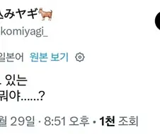 트릭컬) ??? : 이드가 쓰고 있는 모자는 뭐야
