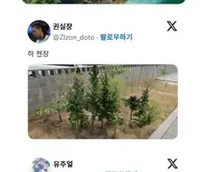 텃밭 초보들이 가장 많이 하는 실수