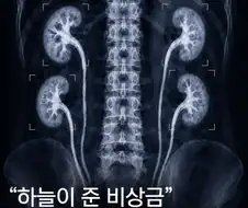 하늘이준 청년미래적금