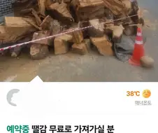 딸감 무료로 가져가실분