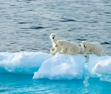 여자사람친구를 레즈비언한테 팔아넘기는.manhwa