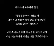 무라카미 하루키가 한 말