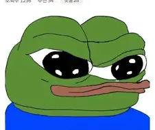 아다가 아닌데 아다인척한다는 디시인