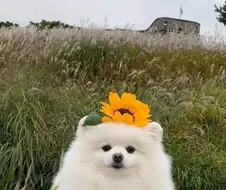 천천히 스크롤해서 내려보세요