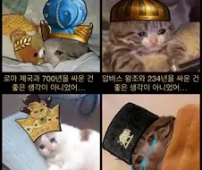 트럼프 덕분에 재평가되는 이란 밈...