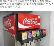 패스트푸드점 탄산음료의 비밀