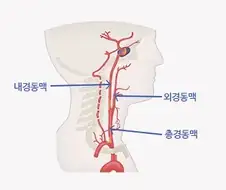 붉은사막은 위대한 게임이며 한국게임계의 한획을 그을 게임이다.